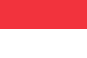 Bare Metal Dedicated Servers Flag in Jakarta - iRexta