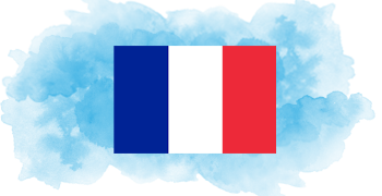Bare Metal Dedicated Servers in France Flag - iRexta