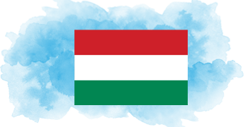 Bare Metal Dedicated Servers in Hungary Flag - iRexta