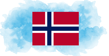 Bare Metal Dedicated Servers in Norway Flag - iRexta